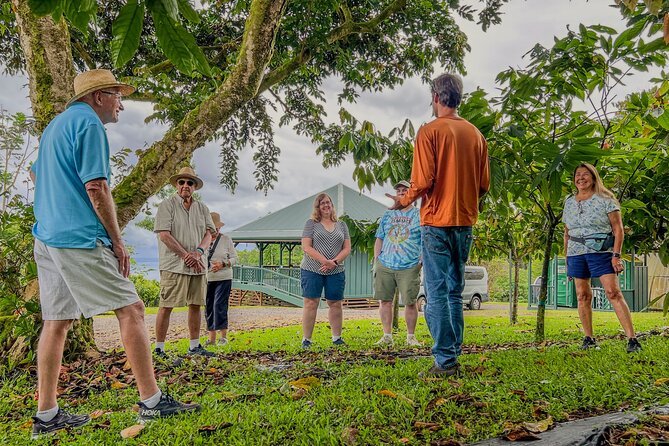 Craft Chocolate Tasting and Farm Experience on the Big Island - Tasting the Flavors of Hawaiian Craft Chocolate