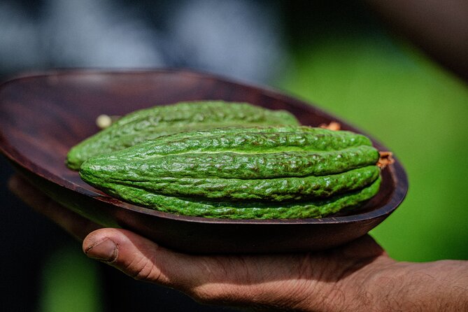 Craft Chocolate Tasting and Farm Experience on the Big Island - Guides and Personalities: Wrenn, Jude, and Darwin
