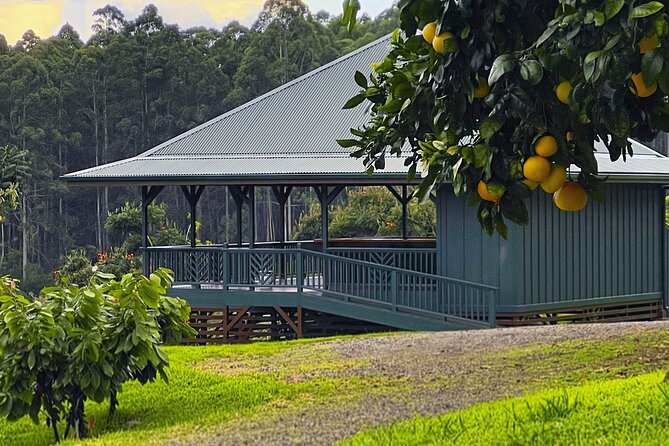 Craft Chocolate Tasting and Farm Experience on the Big Island - The Role of Hawaii in the Craft Chocolate Scene