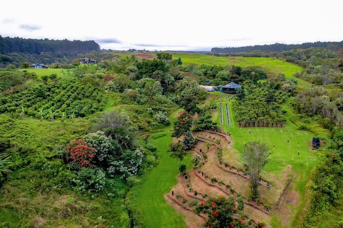 Craft Chocolate Tasting and Farm Experience on the Big Island - Practical Details and Accessibility