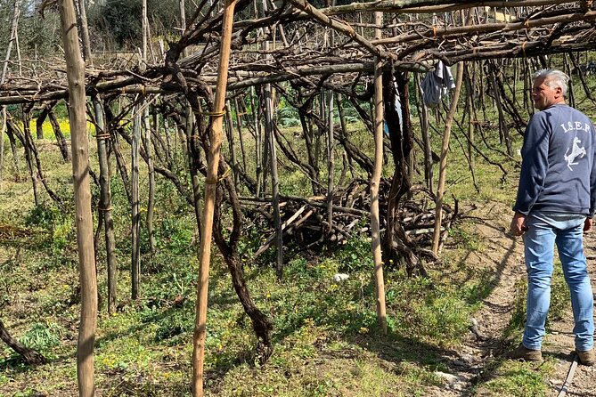 Craftsmanship and Flavors of Sorrento and Amalfi Coast - Key Points