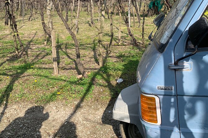 Craftsmanship and Flavors of Sorrento and Amalfi Coast - Insight into Local Artisans and Craftsmanship Techniques