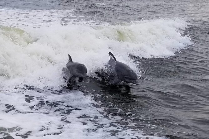 Craigcat Rental in Merritt Island - Discover the Craigcat Rental in Merritt Island: A Unique Water Adventure