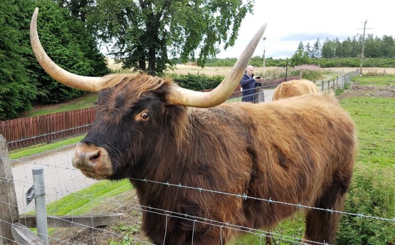 Craigs Luxury Speyside Private Whisky Tour - How the Tour is Delivered and What to Expect