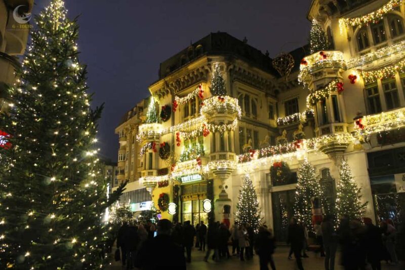 Craiova City Tour & Christmas Market Day Trip from Bucharest - The Festive Lights and Artistic Displays of the Market