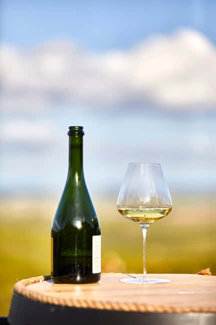 Cramant: OP2 Masterclass with 5 Champagnes - Practical Details: Accessibility, Cancellation, and Reservations