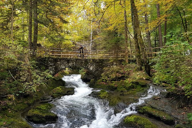 Crash Landing on you Film Location Private Tour from Interlaken - Scenic Drive to Sigriswil and the Suspension Bridge