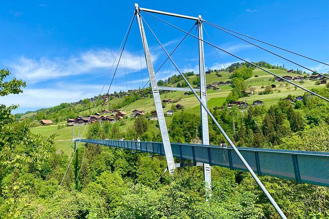 Crash Landing on You Private Switzerland Day Tour from Zurich or Lucerne (CLOY) - From Zurich or Lucerne: Convenient Pickup and Private Transportation