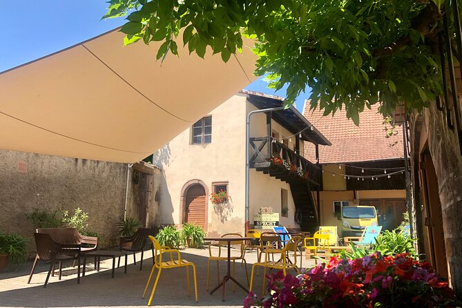 Crazy senses! - An Engaging Wine and Sensory Journey in Colmar for €40.72