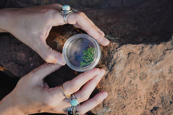 Create Energetic Flower Essences and Reconnect with Nature - Key Points