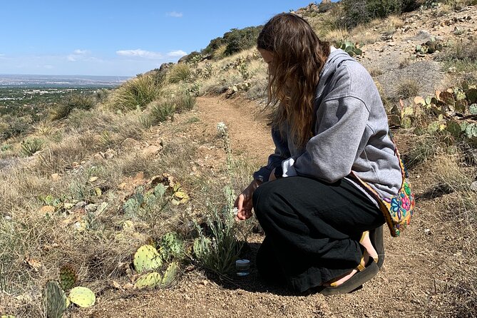 Create Energetic Flower Essences and Reconnect with Nature - Creating Energetic Plant Remedies in the Sandia Mountains