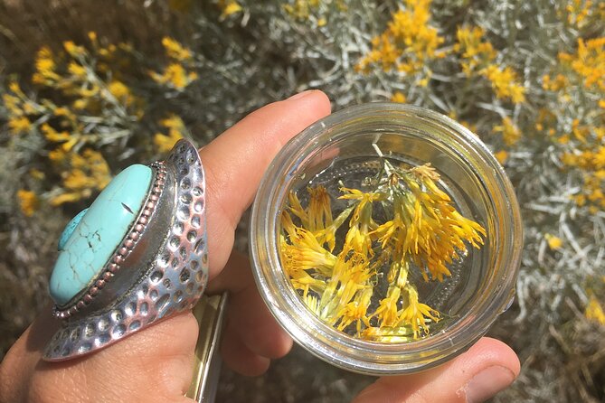 Create Energetic Flower Essences and Reconnect with Nature - Practical Details and Logistics