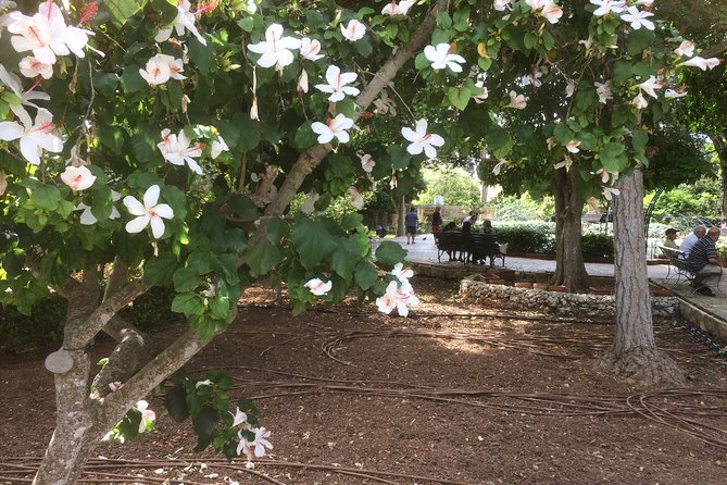 Create from your soul - The Experiences Focus on Inner Self and Purpose