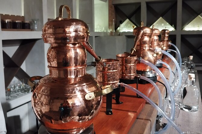 Create your own Gin at Riga Gin Laboratory - Key Points