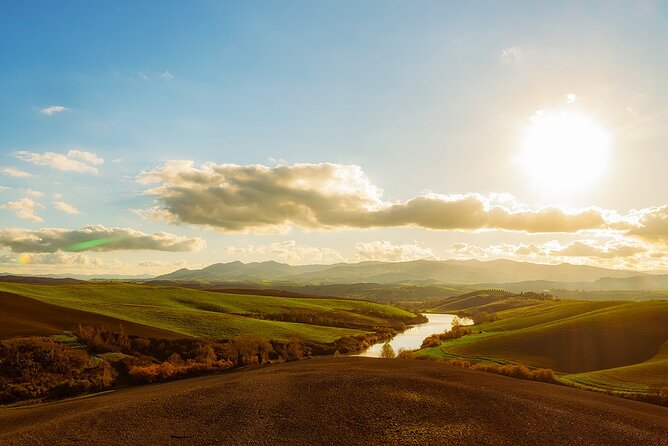 Creative Cooking for Young Chefs in Tuscany - The Tasty Rewards: Oven-Fresh Cake and Cookies to Take Home