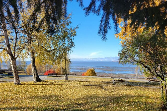 Creative Soul Scavenger Hunt Anchorage on the Tony Knowles Trail - Starting Point at Elderberry Park in Anchorage
