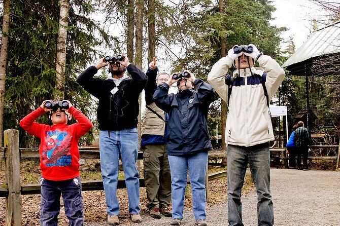 Creative Soul Scavenger Hunt Anchorage on the Tony Knowles Trail - The Creative Missions and Their Role in the Experience