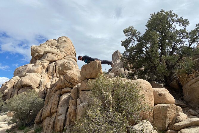 CreativeSoul ScavengerHunt(Hidden Valley,Joshua Tree)Remote Host - How the Joshua Tree Scavenger Hunt Works with a Remote Host