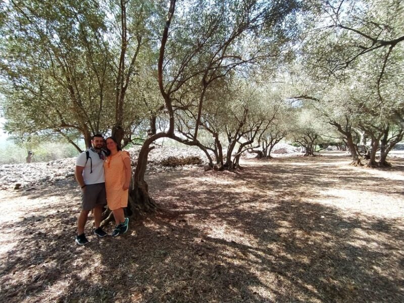 Cres: Olive Oil Walking Tour with Tastings - Why This Tour Stands Out on Cres