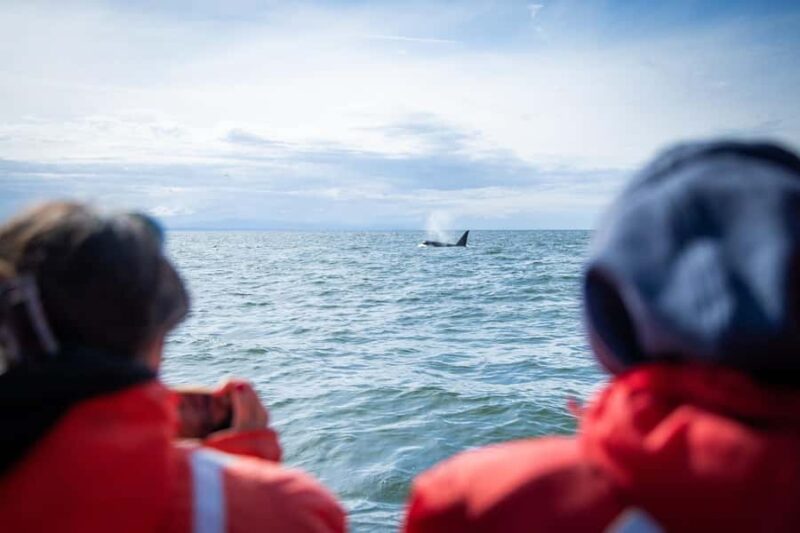 Crescent Beach: Sunset Wildlife Cruises in BC - Experience BC’s Coastline with a Sunset Wildlife Cruise from Crescent Beach