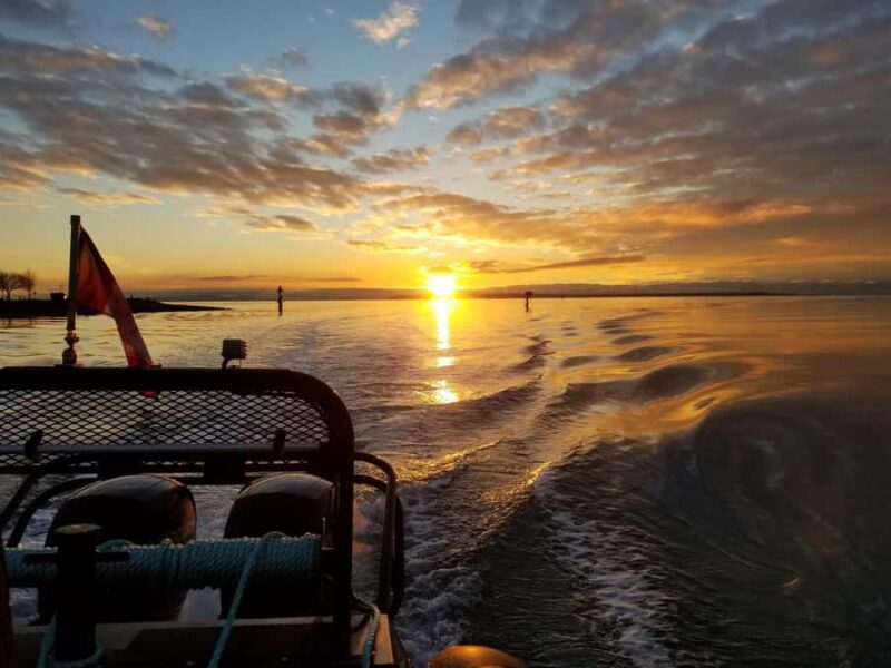 Crescent Beach: Sunset Wildlife Cruises in BC - The Comfort and Features of the Spartan 01 Boat