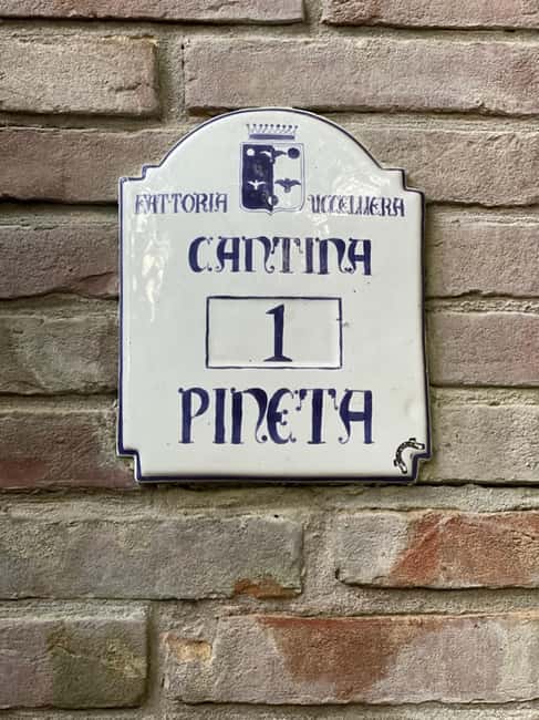 Crespina-Lorenzana: Wines, Oil, and Local Flavors - The Guided Wine Tasting and Blind Challenge