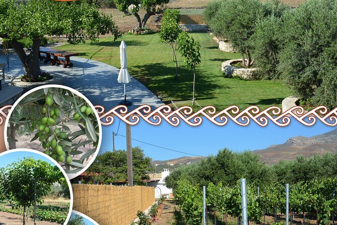 Cretan Traditional Cooking Lessons - Authentic Cretan Cooking Experience at a Farmhouse Near Chania