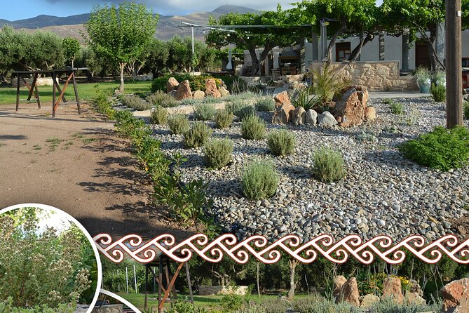 Cretan Traditional Cooking Lessons - The Practicalities of the Tour: Group Size and Timing