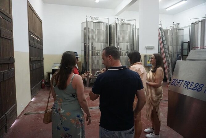 Cretan Wines & Olive oil tour - The treasures of Crete - Logistics and Comfort