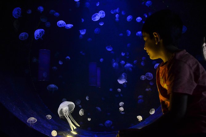 CRETAquarium Entrance Ticket in Crete - The Overall Size and Visitor Experience