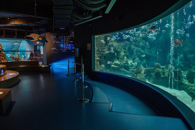 CRETAquarium Entrance Ticket in Crete - Accessibility and Child-Friendly Features