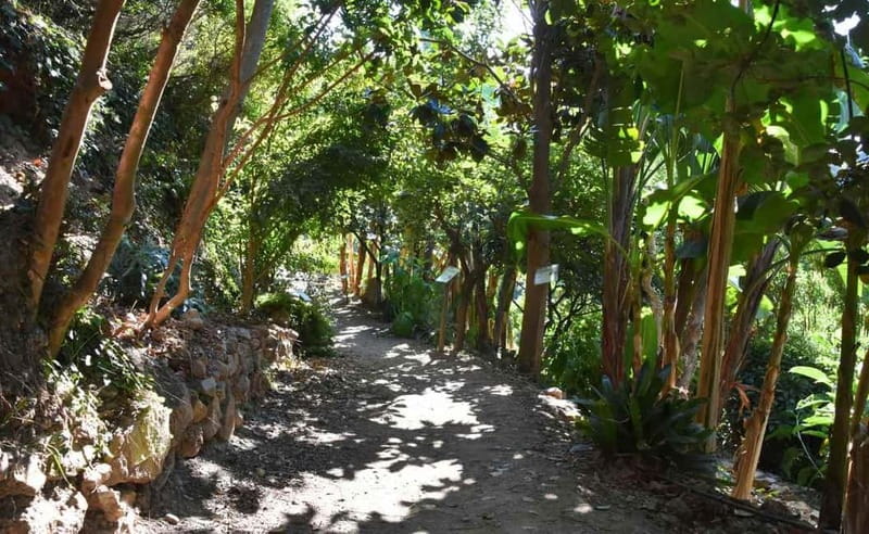 Crete Above the Clouds: Private 4x4 White Mountains Safari - Mountain Villages and Traditional Cretan Life