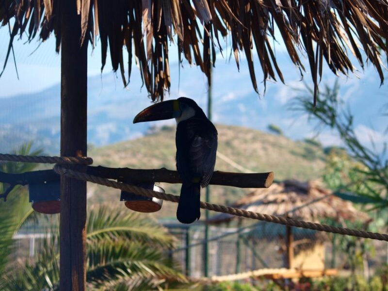 Crete: Agios Nikolaos, Kritsa and Amazonas Park Day Trip - Final Thoughts on the Crete: Agios Nikolaos, Kritsa, and Amazonas Park Day Trip