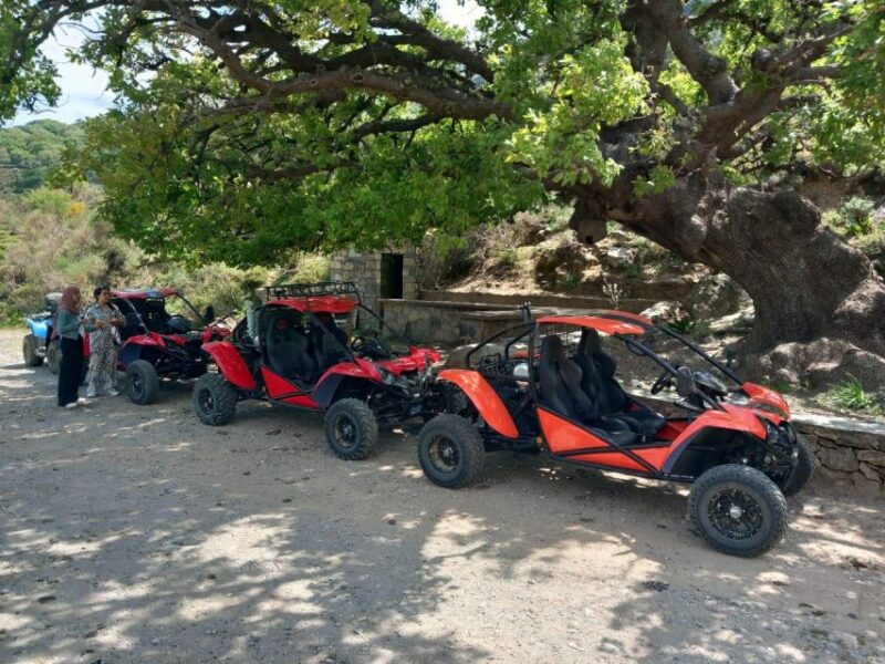 Crete buggy safari - Final Beach Relaxation and Return to Malia