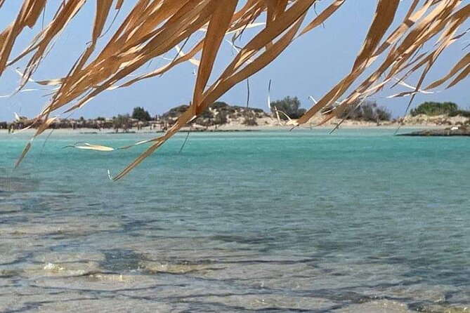 Crete: Elafonisi 4 hours in the beach - Discover Cretes Iconic Pink Sand Beach with Ease