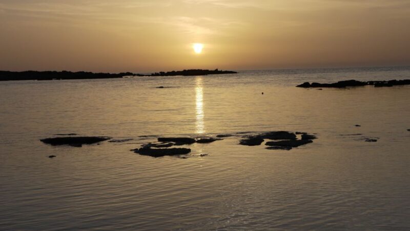 Crete: Elafonisi Pink Beach Excursion - Key Points