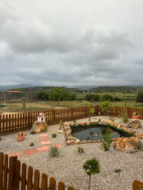 Crete: Farm Visit with Cheese Tasting and Milking Experience - Milking Sheep and Goats with Modern Equipment