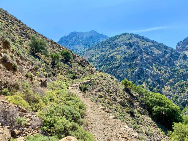 Crete: Guided Hiking Tour, Kavousi Canyon & Swimming - Visiting the Azorias Archaeological Site