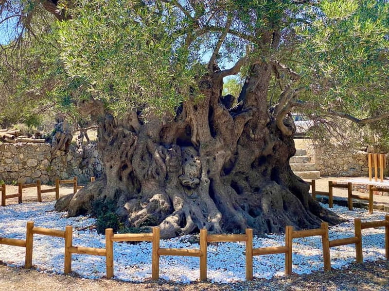 Crete: Guided Hiking Tour, Kavousi Canyon & Swimming - Descent to Kavousi Village and Relaxation at Tholos Beach