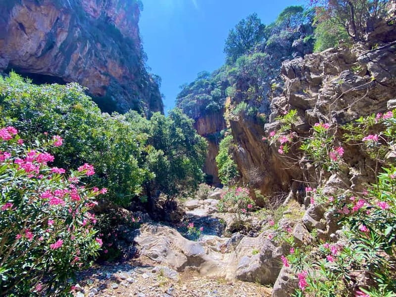 Crete: Guided Hiking Tour, Kavousi Canyon & Swimming - Why This Tour Stands Out in Crete