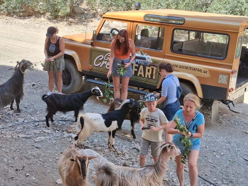 Crete: Guided Jeep Safari With Swimming And Snacks - Scenic Drive and Highlights from the Village of Mochos