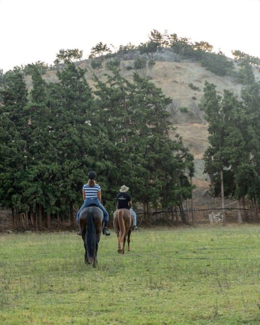 Crete Horse Riding: Cretan Countryside Ride - Discover the Crete Horse Riding: Cretan Countryside Ride at $66