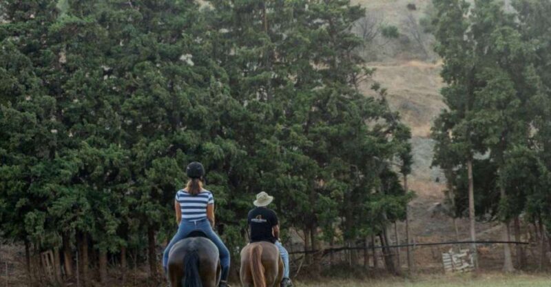 Crete Horse Riding: Cretan Countryside Ride - What’s Included and What’s Not