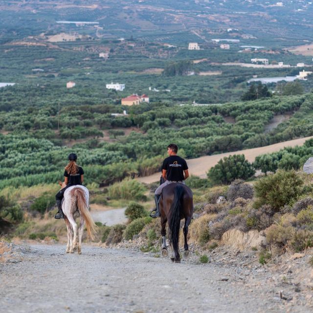 Crete Horse Riding: Cretan Countryside Ride - Who Will Enjoy the Cretan Countryside Ride?