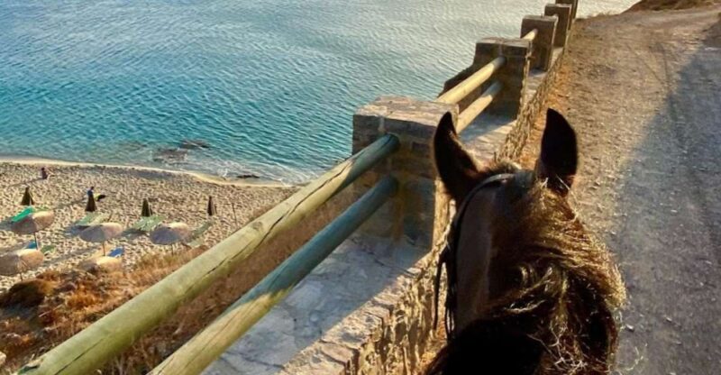Crete Horse Riding: East Coastline Ride - The Experience at the Small Group Level