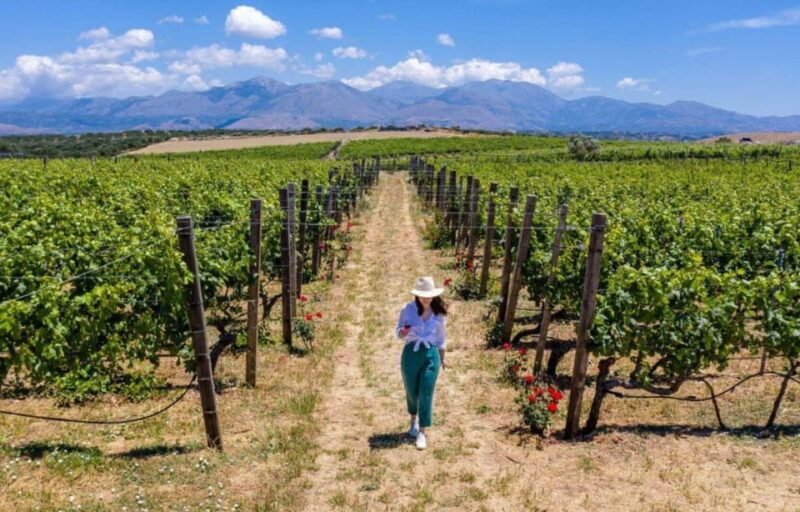 Crete: Knossos Palace and Archanes with Wine Tasting Tour - Key Points