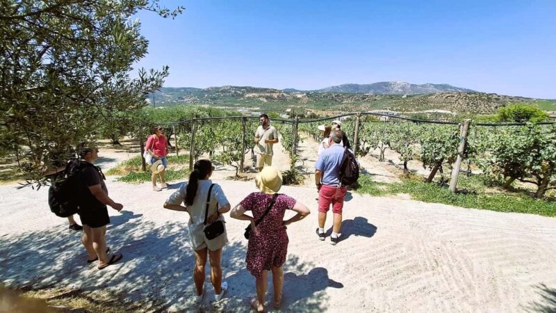 Crete: Knossos Palace, Winery & Olive Oil Tour with Lunch - Discovering Olive Oil Production in a Traditional Setting