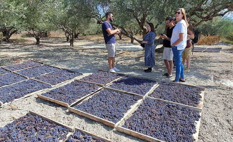 Crete: Knossos Palace, Winery & Olive Oil Tour with Lunch - Frequently Asked Questions