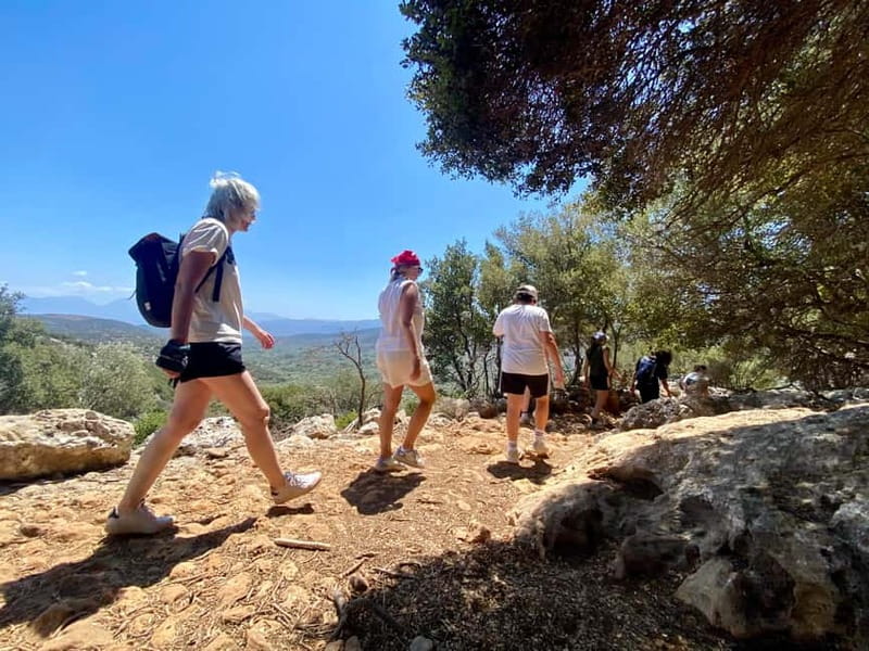 Crete: Kritsa Canyon Guided Hiking Tour - The Return Journey and Additional Stops