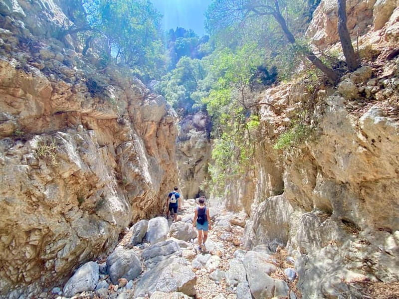 Crete: Kritsa Canyon Guided Hiking Tour - Physical Demands and Accessibility